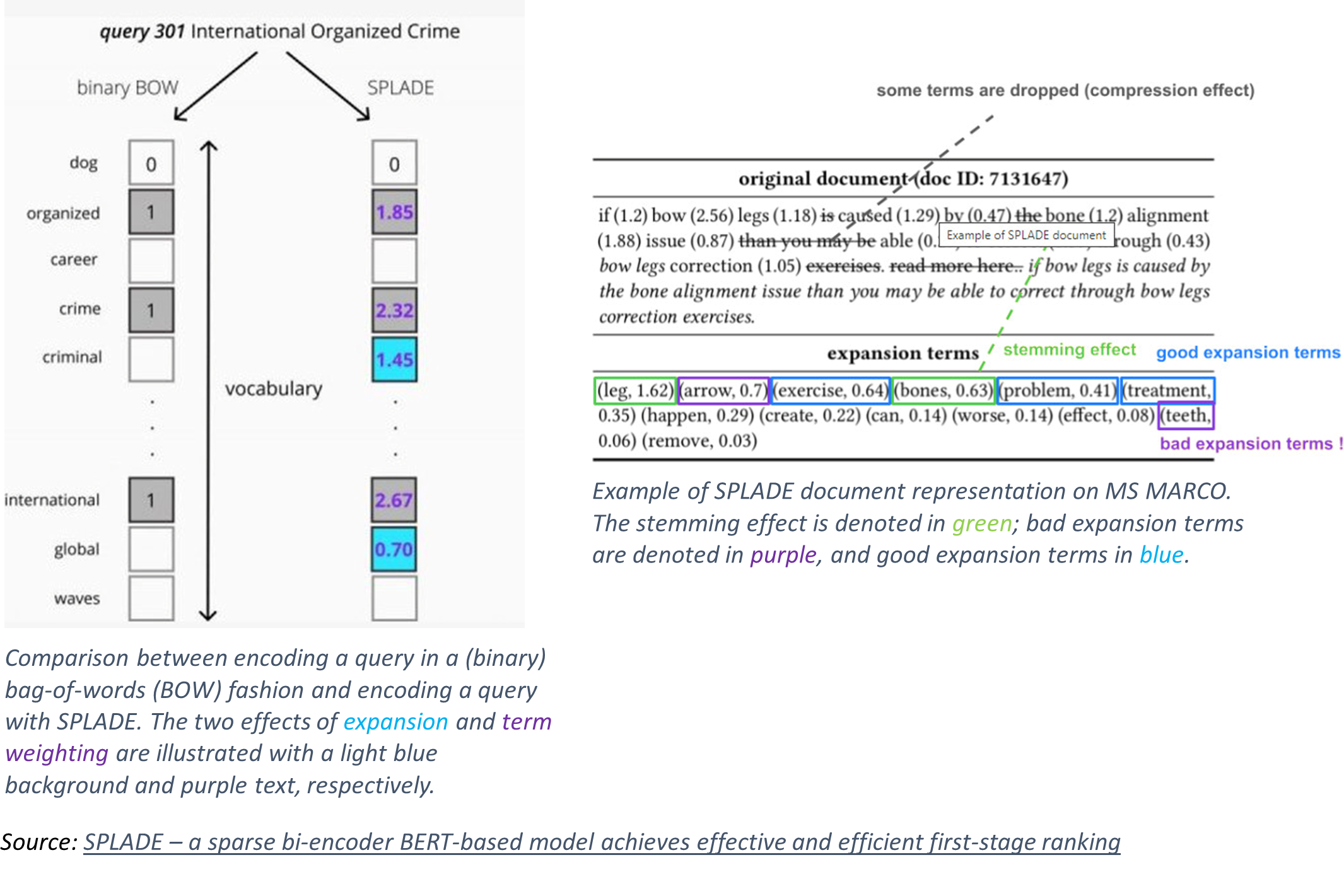 Query and Passage encoding for SPLADE.